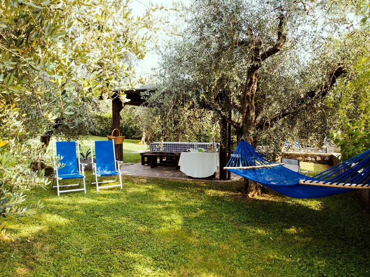 Lake Experience! Marone